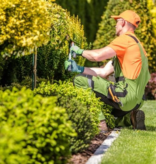 Mathias Gardening Construction LLC